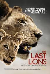 Son Aslanlar Belgeseli – The Last Lions 2011 Türkçe Altyazılı izle Hd