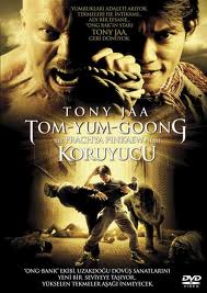 Koruyucu – The Protector 2005 Türkçe Dublaj izle