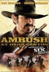 Tuzak – Ambush at Dark Canyon 2012 Türkçe Dublaj izle