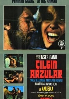 Çılgın Arzular Yeşilçam Erotik izle