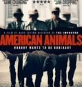 American Animals 2018 HD izle