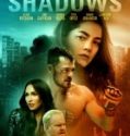 Gölgelerin Üzerinde – Above the Shadows 2019 izle