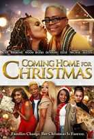 Coming Home for Christmas 2021 izle